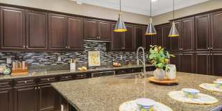 43230 La Scala Way Gallery 14