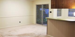 1700 Ellen Street Gallery 19