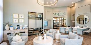 Aspire at Silverleaf Gallery 6