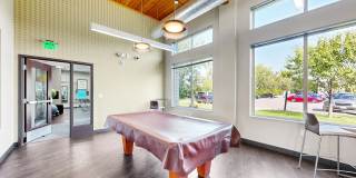 Shoreview Grand Gallery 13