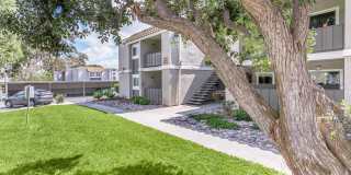 Ocean Vista Gallery 12