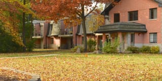 Pinewood Creek Gallery 5