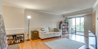 1 Bedroom Condo in Building with Amenities! 1 Bedroom Condo in Building with Amenities! Gallery 8