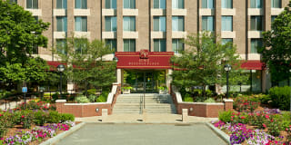 Regency Plaza Gallery 31