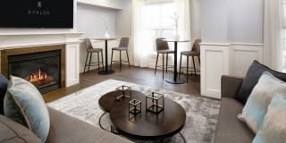 Avalon Acton Gallery 22