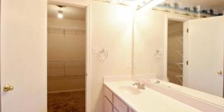 7326 Tamburo Gallery 27