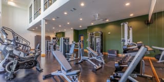 4600 Ross Gallery 12