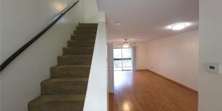 7505 PITCH PINE CIRCLE Gallery 22