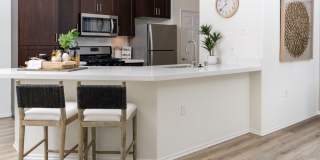 Camino Real Gallery 31