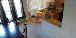 8250 RED CARNATION Court Gallery 9