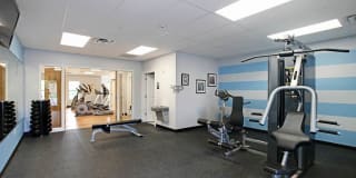 The Springs Gallery 40