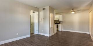 Portofino Gallery 15