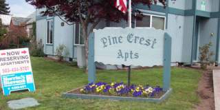 #251 PINE CREST APARTMENTS Gallery 1