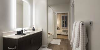 Axiom Cabin Branch Gallery 8