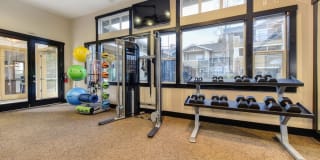 McKenzie at Natomas Park Gallery 25