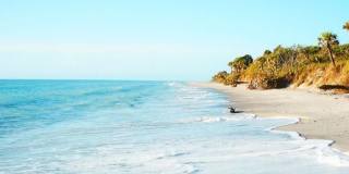 333 THE ESPLANADE N Gallery 34