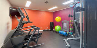 Autumn Chase Gallery 8