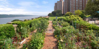 120 Cabrini Boulevard Gallery 20