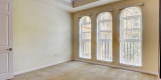 Boca Raton Gallery 48