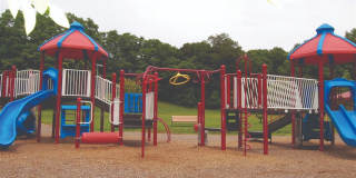 Alister Morristown Gallery 15