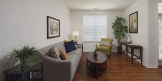 Orchard Park Gallery 15