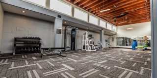 The Lucent Gallery 17