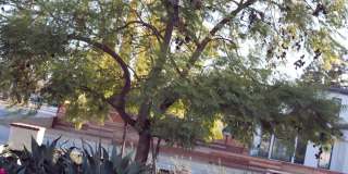 1215 Altamead Drive Gallery 52