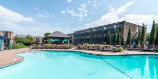 The Falls Gallery 16