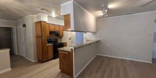 Leon Valley Gem!! Gallery 29