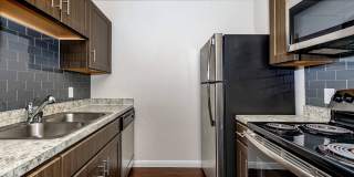 Autumn Wood Gallery 12