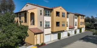 Paseos At Magnolia Luxury Apartment Homes Gallery 64
