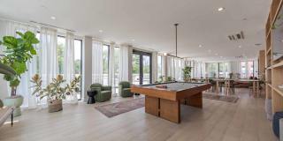 The Driftway Gallery 45