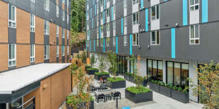 Adara at Totem Lake Gallery 21