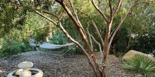 1122 Palomino Road Gallery 51