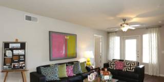 University Village Gallery 1