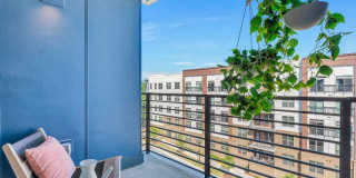 Alta Purl Gallery 51