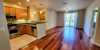 Stunning 2 Bed 2 Bath Penthouse Condo in Los Altos.  Great Schools and Location! Gallery 4