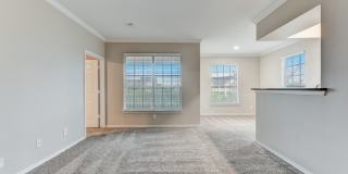 Stone Oak @ Parmer Gallery 43