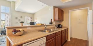Venicia Gallery 36