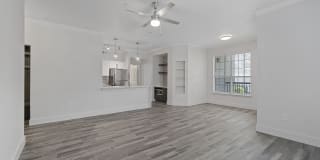 St. Martin Gallery 9