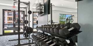 Ascend at Carlton Gallery 9