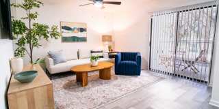 Lyv Austin Gallery 5