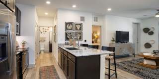 Eightyone10 Blue Goose Gallery 4