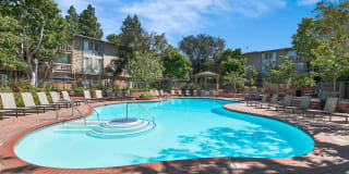 The Meadows Apartment Homes Gallery 15