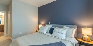 Attain at Harbour View Gallery 6