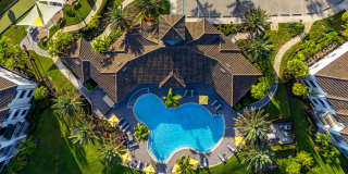 Portofino Vineyards Gallery 7