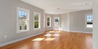 20 Alston Street - 20 Gallery 2
