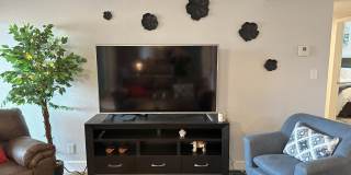 7344 N VIA CAMELLO DEL NORTE Gallery 16