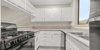 Tahquitz Court Gallery 12