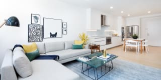 The Duchess Gallery 25